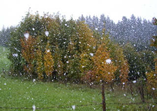 Foto der dicken Schneeflocken am 4. Oktober