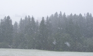 Foto vom Schneetreiben an diesem Tag