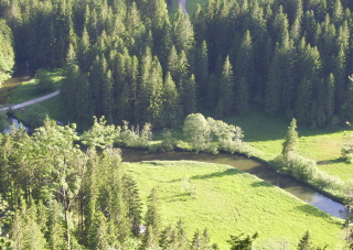 Foto der Roten Volepp