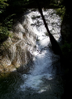 Foto vom Wasserfall nach dem zwinger