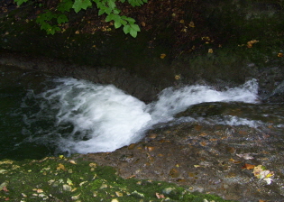 Foto vom Röckenbach