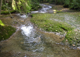 Foto vom Röckenbach