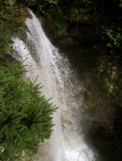 Foto vom größten der Scheidegger Wasserfälle